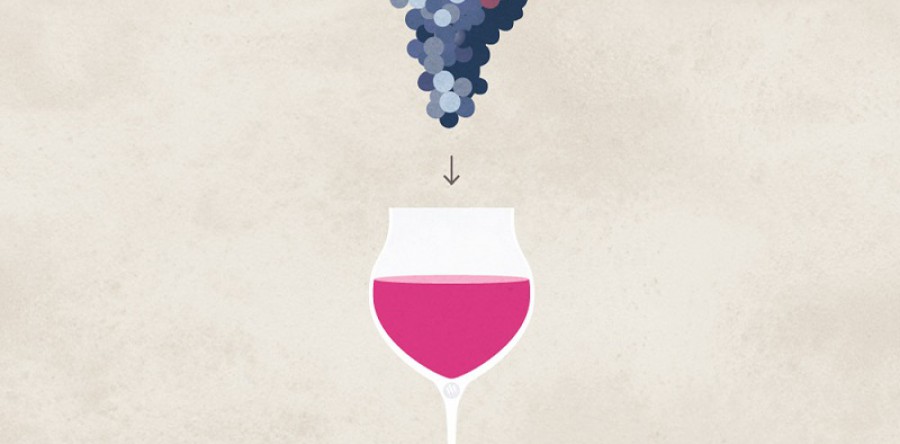 Nhiệt độ có thực sự quan trọng đối với rượu vang - Hướng dẫn cách phục vụ rượu vang chuẩn 5 sao