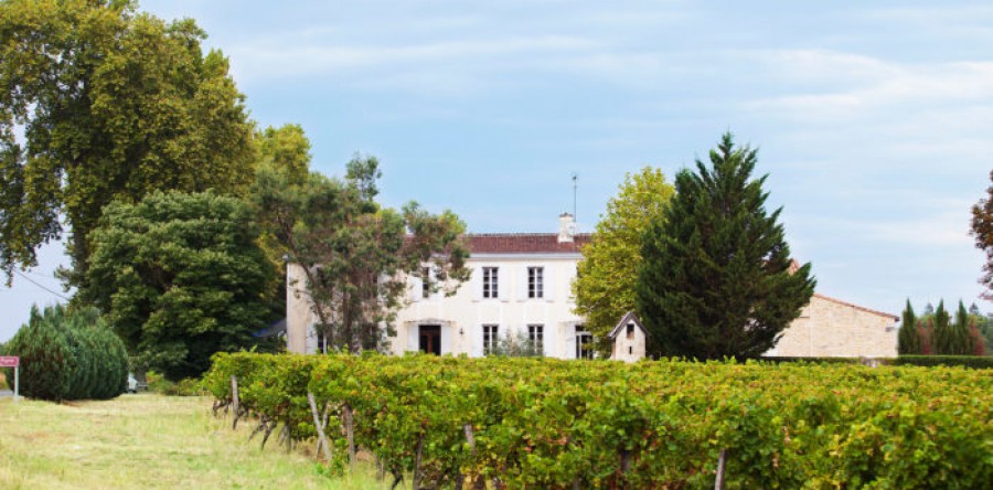 Tại sao Côtes de Bordeaux nên được xem là sức sống của Rượu vang Pháp