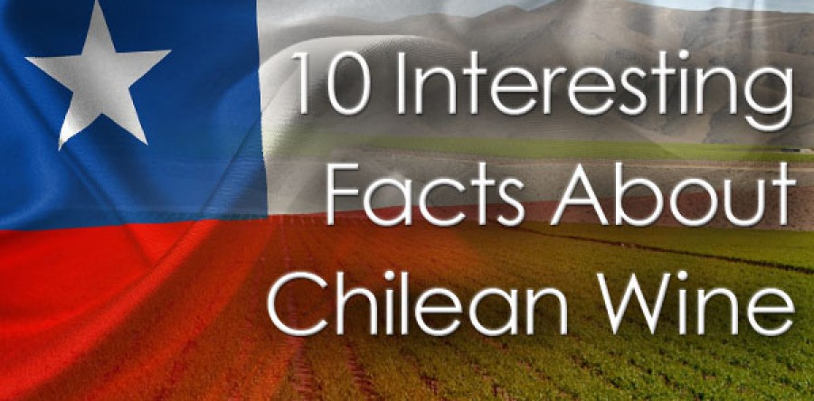 10 điều thú vị về rượu vang Chile