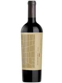 Casarena DNA Malbec