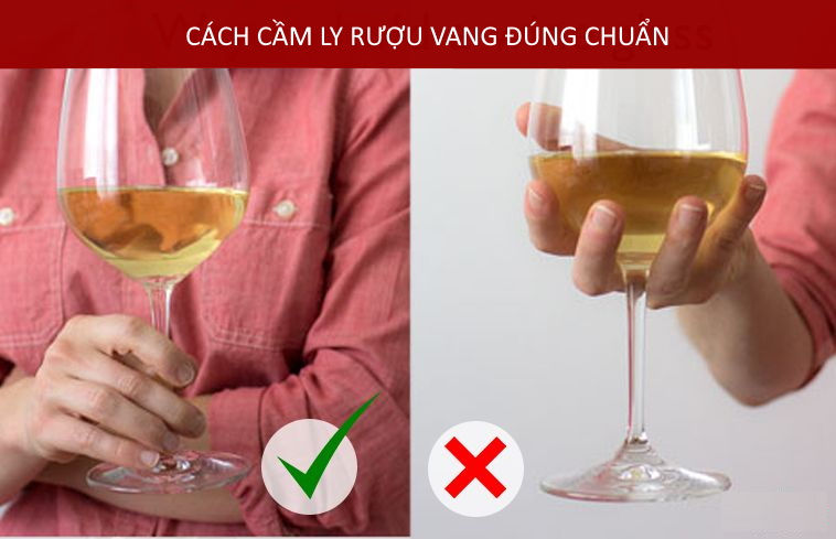 Cách-cầm-ly-đúng-chuẩn-TOPWINE